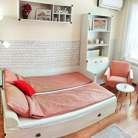 дом анести Apartment Varna
